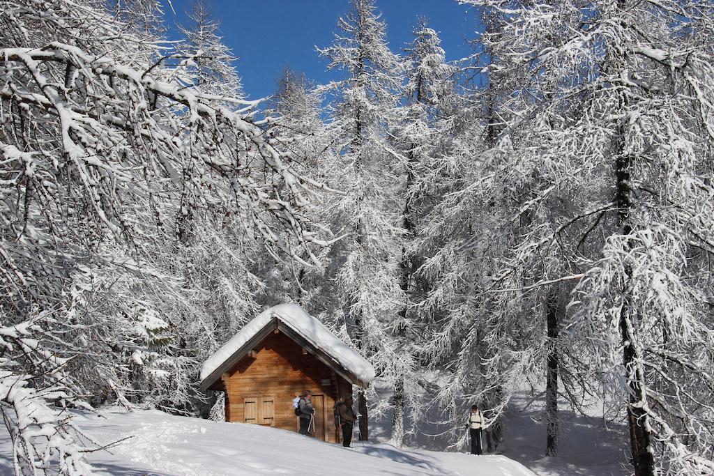 La Petite Etoile D'Hotes En Mercantour Saint-Dalmas-le-Selvage Exterior photo